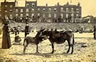  MarineTerrace sands Cinque Ports[Hoday, 2 July 1892]